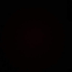 Meet your Posher, Sonya